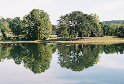 trees and lake reflection