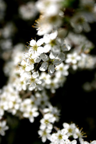 [IMG_27654.jpg]