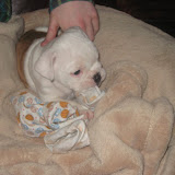  &ndash; 25-Dec-2009