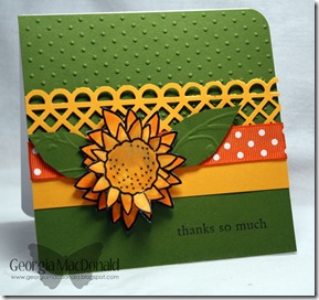thankyoudaisy thankyoudaisy