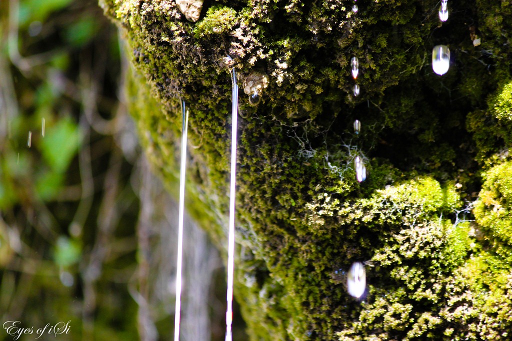 [Eyes-of-iSi-Wasser-Tropfen[3].jpg]