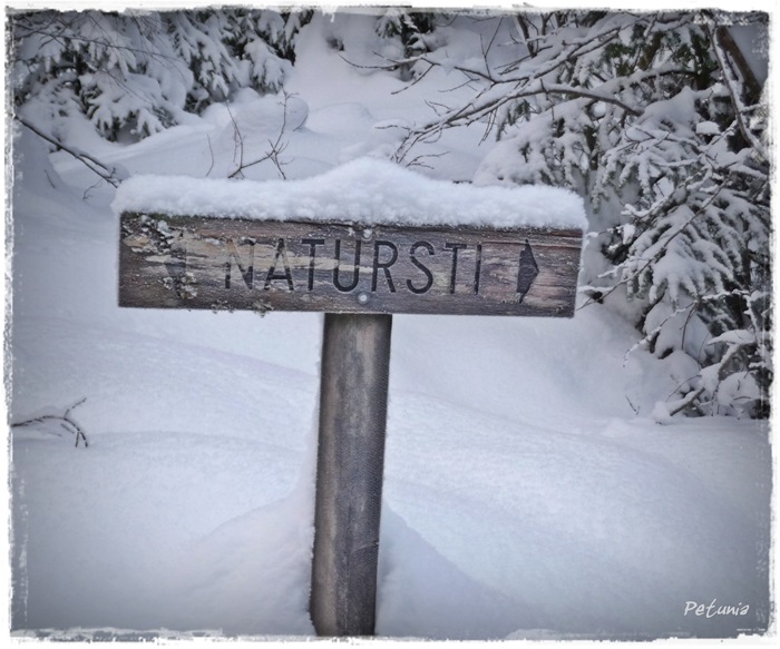 Vinter og sne 5