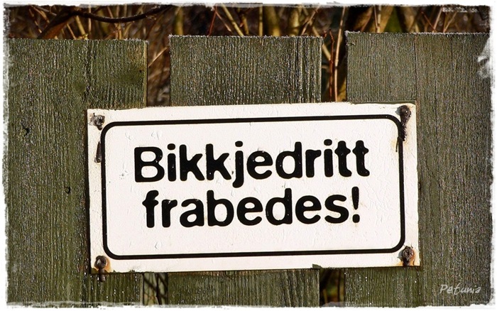 Æsj
