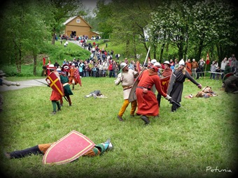 Viking 12