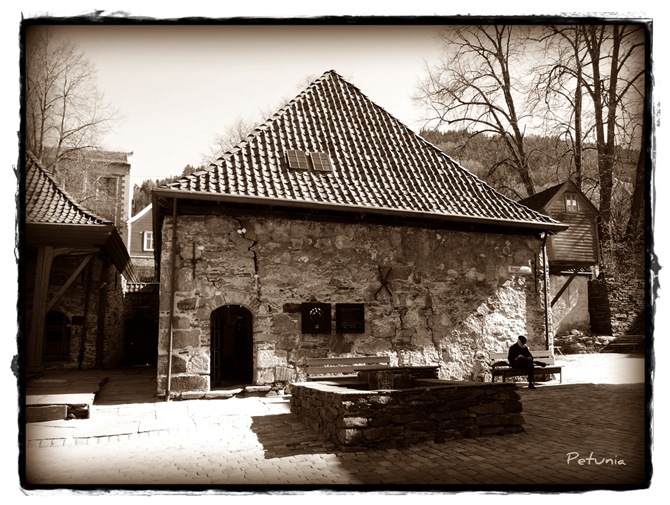 Hetland 6