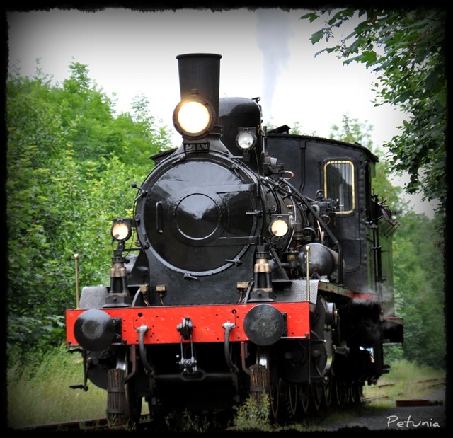 Tog 4