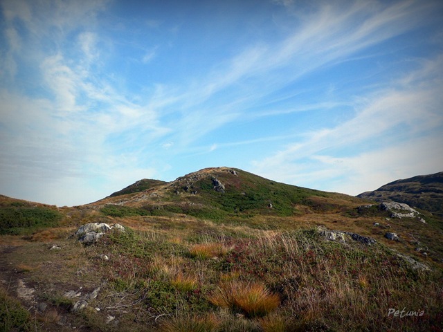 [Høstfjell[5].jpg]