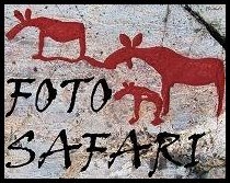 [Fotosafari[5].jpg]