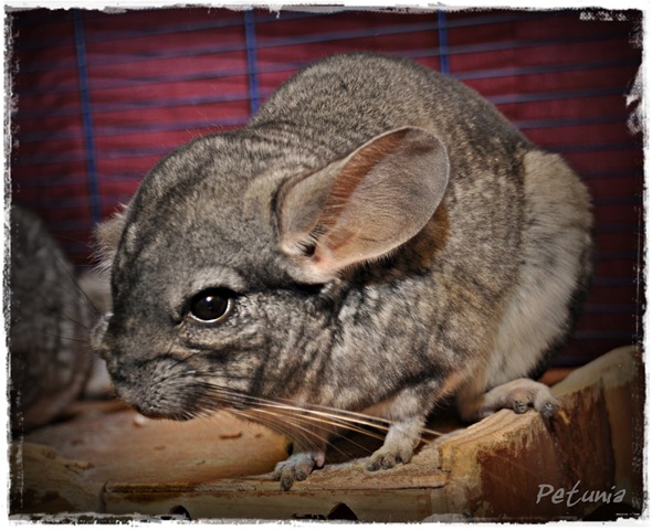 [DSC_0830[5].jpg]