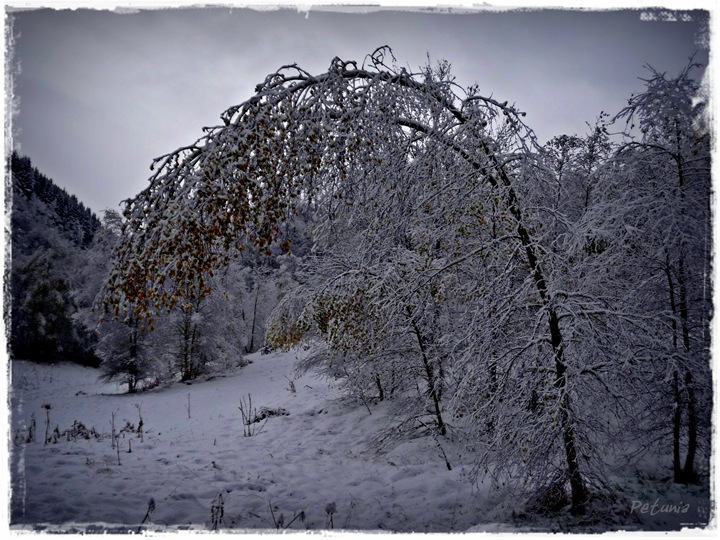 Snø 4