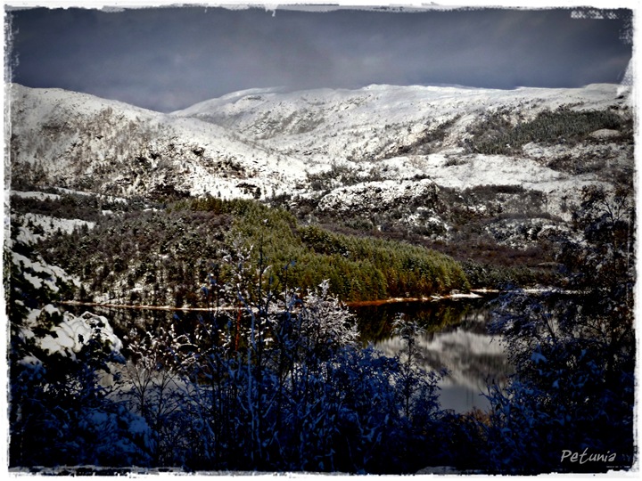 Snø 11