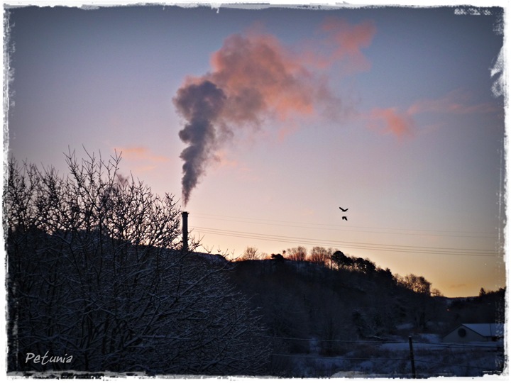Candy sky 2