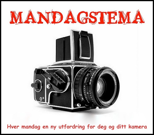 [Mandagstema ny logo[4].jpg]