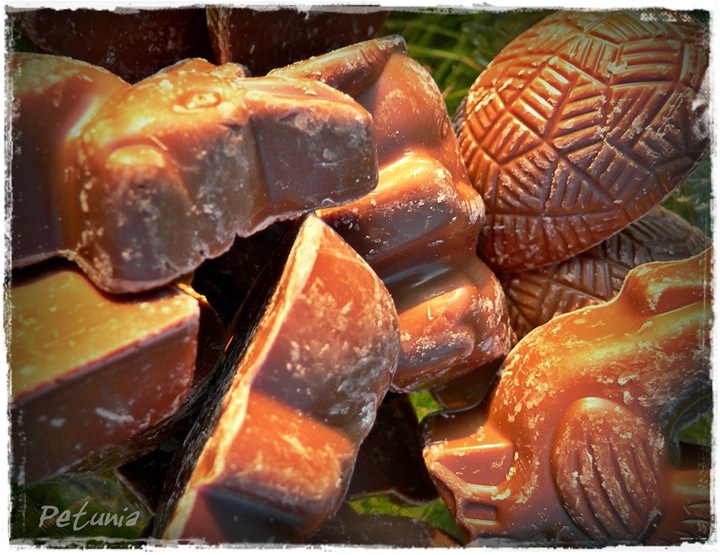 Sjokolade