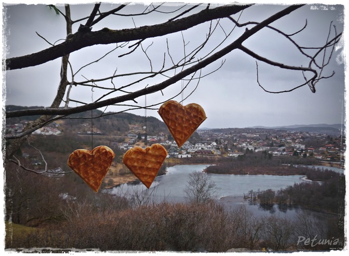 Vaffeldag 1
