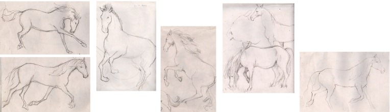 [25 Dec 2010 - HorsesAll[72].jpg]