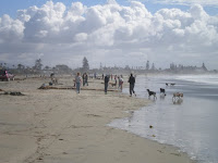 Dog Beach 020809.JPG