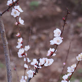 DSC03011.JPG