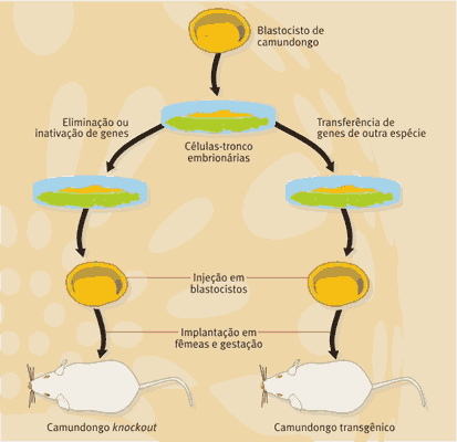 [clip_image005[3].gif]