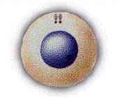 [clip_image004[3].jpg]