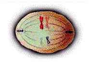 [clip_image006[3].jpg]