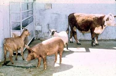 [clip_image002[3].jpg]