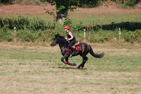 Ti'am du Grand Bosc - Page 2 Concours%20%C3%A9talons%20-%20LaBbastide%20de%20Serou%20%28186%29