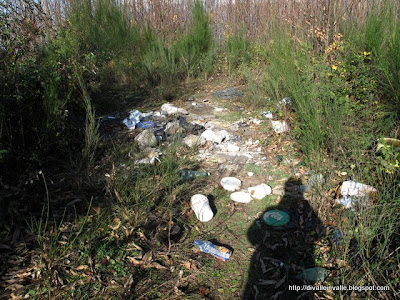 Immondizia d'annata nel Parco del Partenio