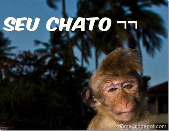 seu chato2