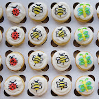 Custom Cupcakes - 2008-04-21_18-18-46.jpg