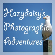Hazydaisy's Photographic Adventures