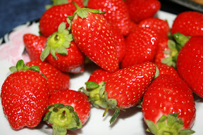 Год в Англии 