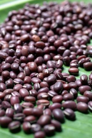 [redbean[4].jpg]