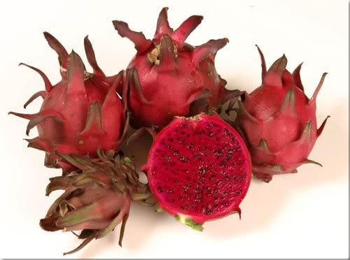 [Buah naga[4].jpg]