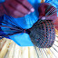 Weaving, weaving....jpg