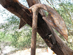 Anchor on island