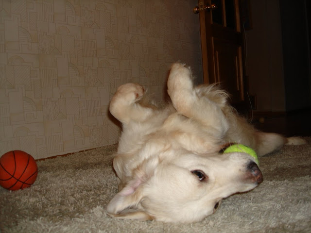 DSC03777.JPG