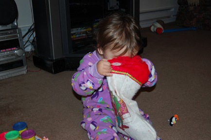[DSC_0394[2].jpg]