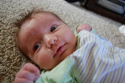 [DSC_0022[3].jpg]