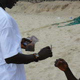  &ndash; Lumley Beach…. © 2007 NHA Photos