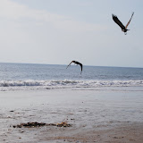  &ndash; © 2008 NHA Photos, Vicki Hicks, Photographer