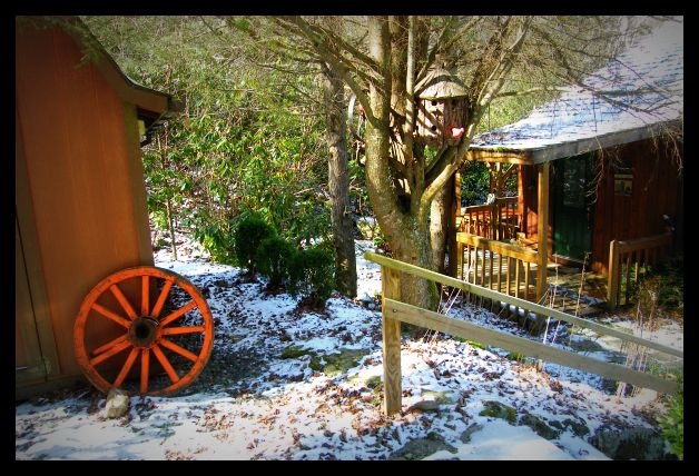 [50th bday and snow 03j[4].jpg]