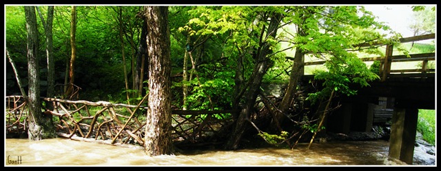 [May2 2009 113_800[4].jpg]