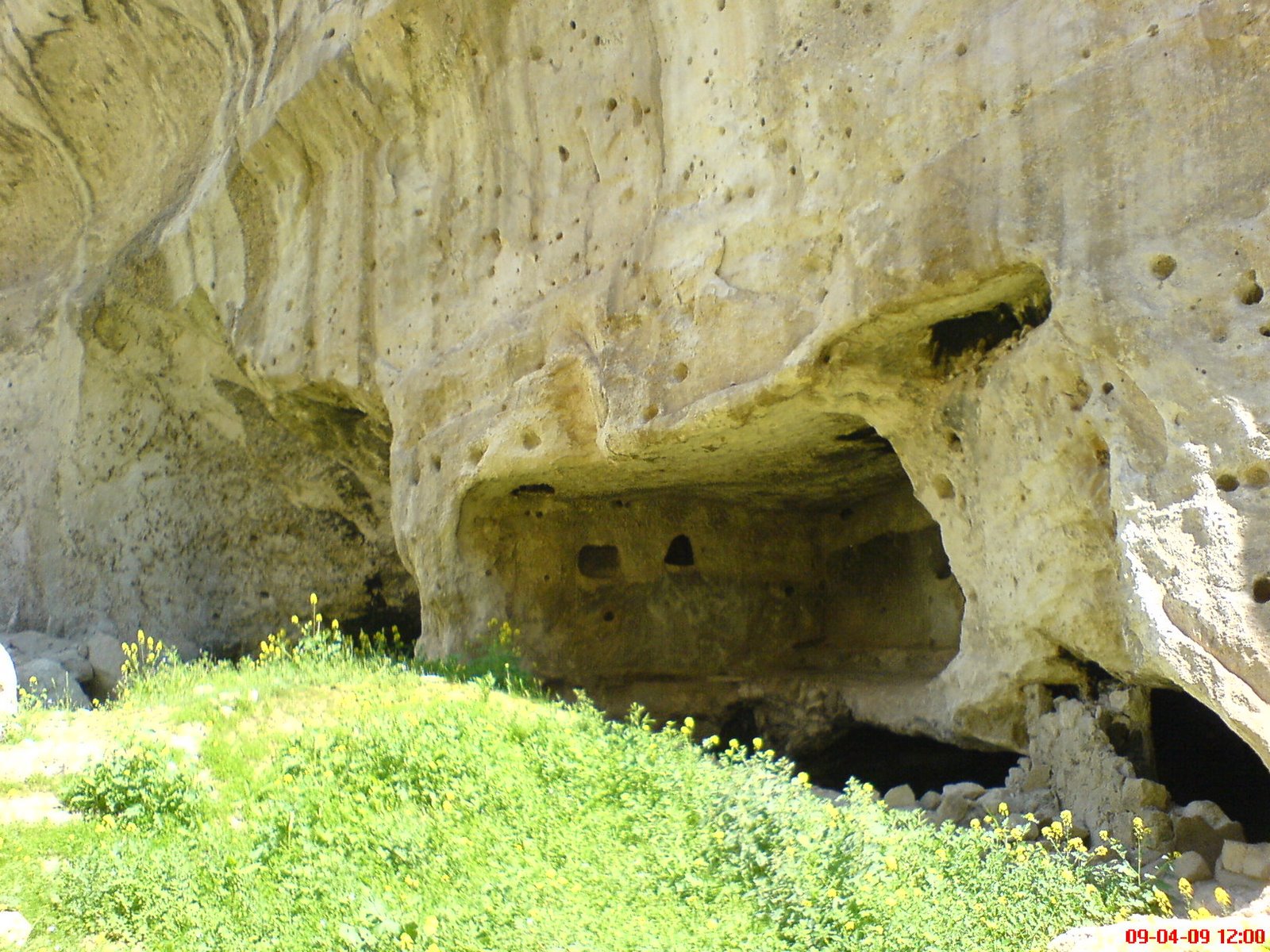 [DSC01979.JPG]