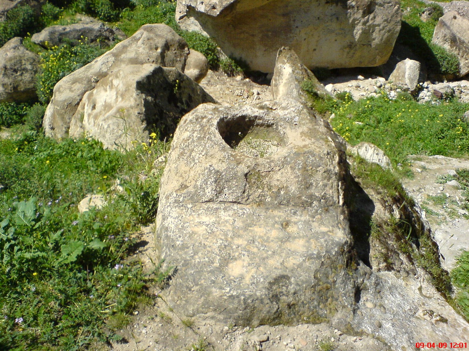 [DSC01981.JPG]