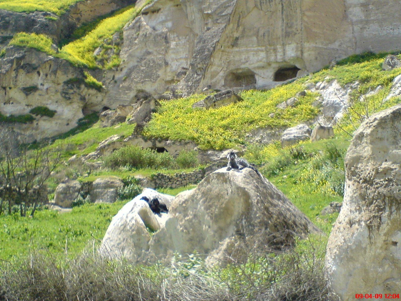 [DSC01985.JPG]