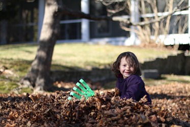 IMG_9695 IMG_9695