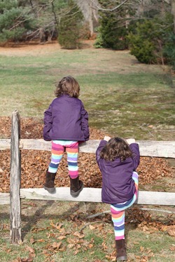 IMG_9896 IMG_9896