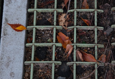 Seoul_2010__261 - Version 4.jpg