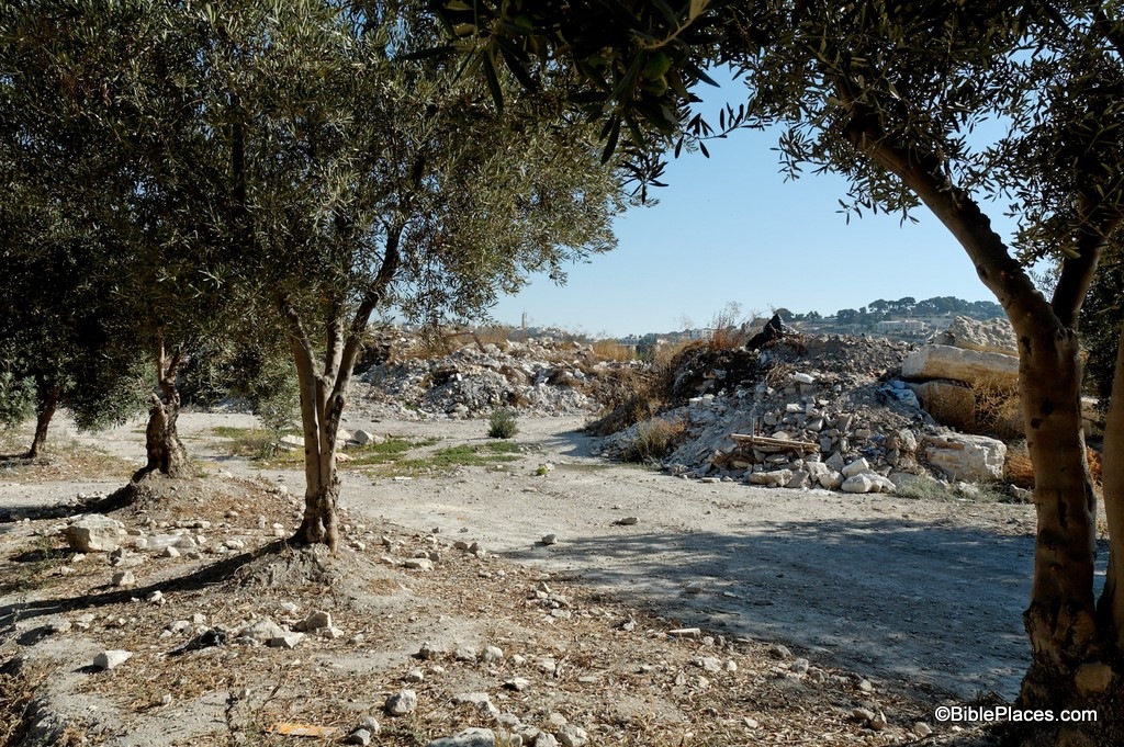 [Temple Mount dump, tb090705006[3].jpg]